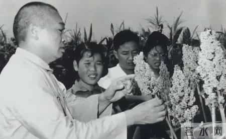 16年前的回忆,16年前的回忆李星华原文