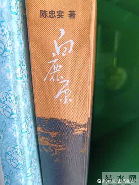 两小无猜的意思,首读《白鹿原》2