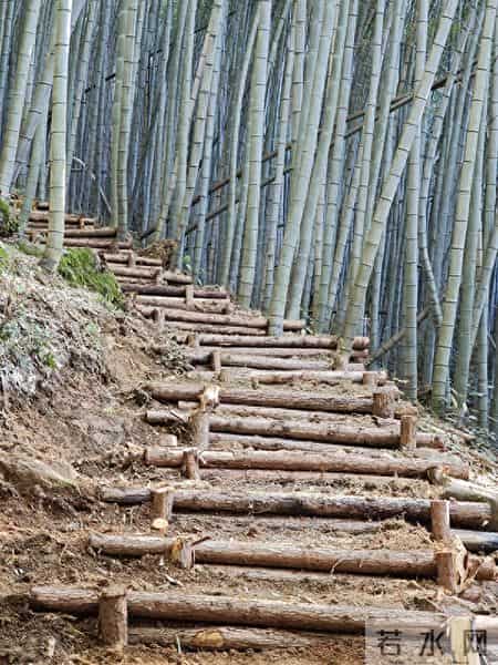 乡下人家作文400字四年级,四和村变形记