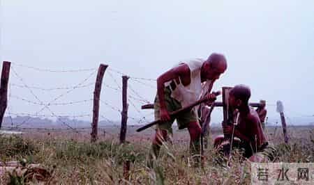 性暗示，官僚讽刺，长大后我才弄明白《三毛从军记》里的那些隐喻