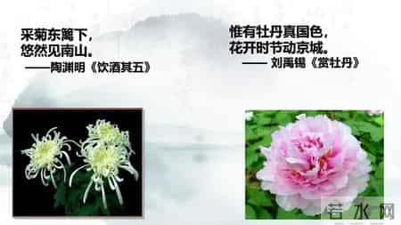 爱莲说教案,《爱莲说》同课异构公开课课件