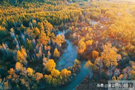 变形记,如何写出故事感——阿宝老师的“作文经”(二二七)