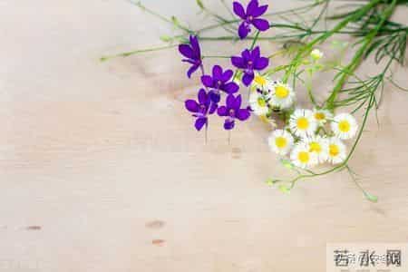 70后：致我们逝去的青春