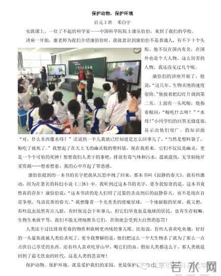 小苗与大树的对话教案,大树与小苗的对话