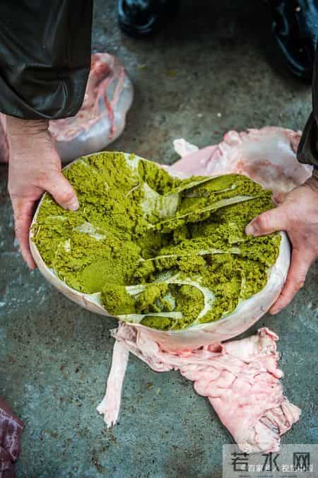 喝了一碗贵州牛瘪汤，味蕾像被野牛施了一泡农家肥