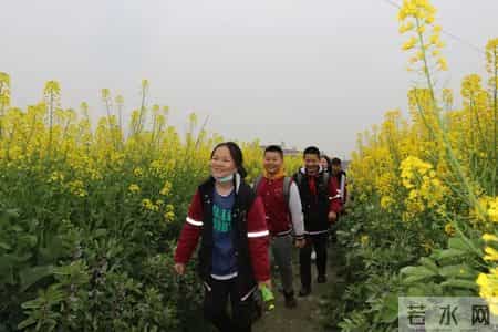 春天的课堂,赏春. 品春. 惜春 ——走进“春天的课堂”