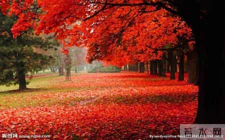 中秋散文,仲秋抒怀(散文)