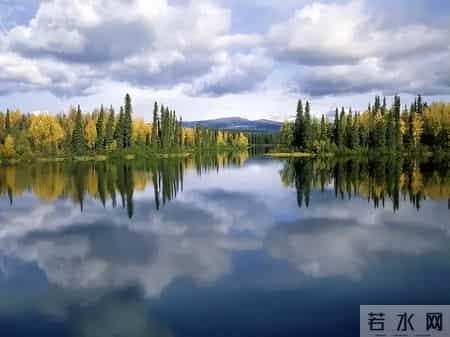 五年级作文450字