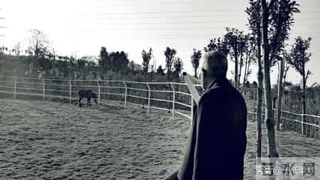 儿子你的太大了我害怕的说说,儿子你的太大了我害怕的说说句子