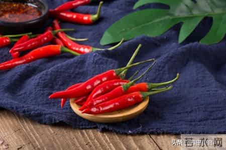 酸甜苦辣3,教程丨少儿美术课程《酸甜苦辣》