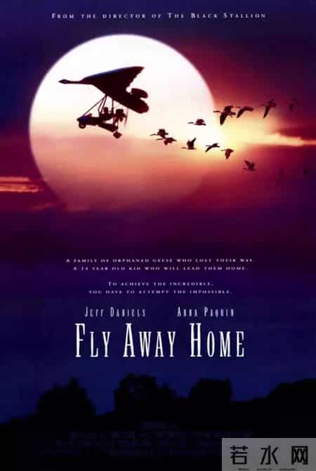 综合实践课,综合实践活动课程