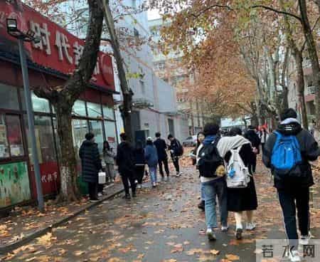 青未了｜秋天的怀念