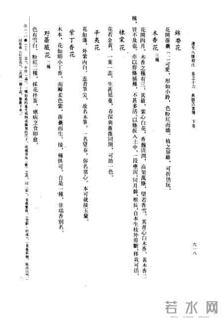 花木春秋393：紫丁香 - 春风解却千千结