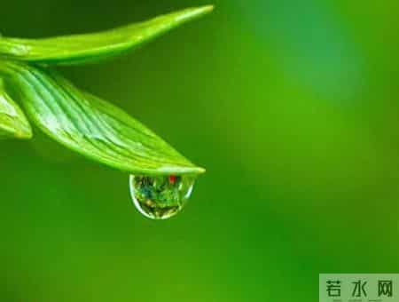 美文欣赏网,美文欣赏