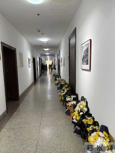 先生已入星河：清华园里的无声告别