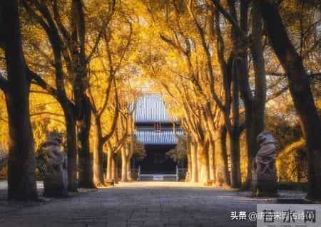 8首寒衣诗词：唯爱与温暖，不可辜负