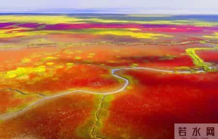 2026“滋味盐城过大年”文旅季启幕！  六百余项活动邀您共度新春