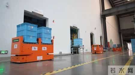 3.12植树节｜植树节，来种“数”