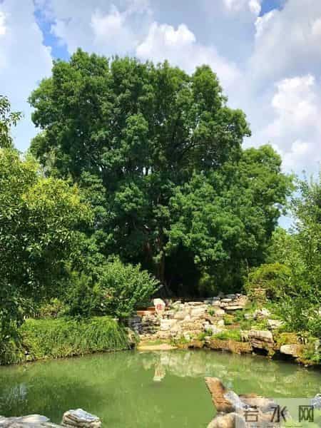 「出游好时节·遇见荆门」给你的心灵放个假，来荆门这些地方，寻觅田园诗意慢生活