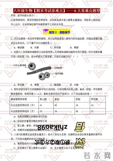 八年级生物,八年级生物寒假作业答案