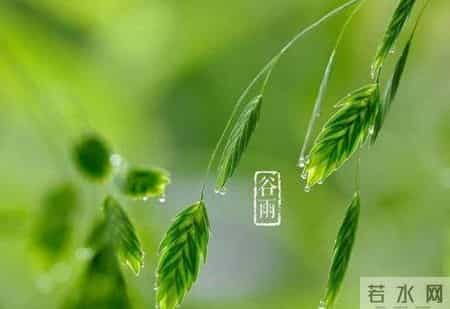 谷雨最美一首诗,雨生百谷，带你邂逅最美的谷雨诗词
