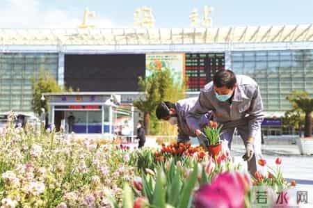花火经典语录,花火小说经典语录