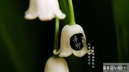 传统节日的作文,关于传统节日的作文