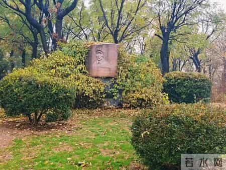 青未了｜秋天的怀念