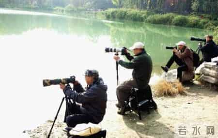 幸福的背影，这才是爱情中最美好的样子！