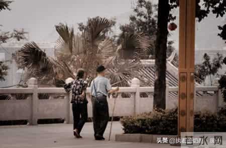 关于爱情文章,关于爱情文章素材