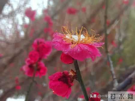 随笔：阅己，越己，悦己