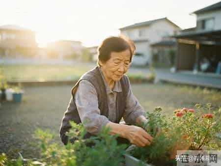 四字箴言，藏着老年人最好的活法