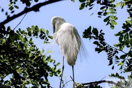 教学工作总结：2024年四年级语文下册教学工作总结