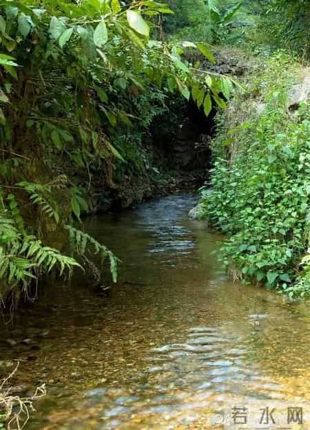 散文：《家乡的秋色》