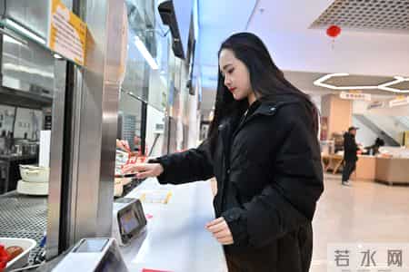 个人学习经历怎么写