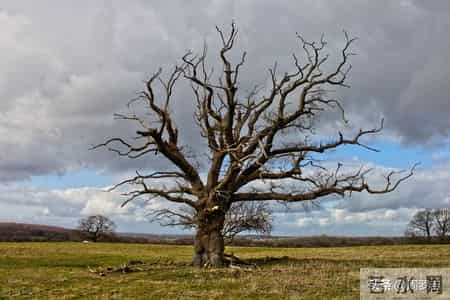 公输原文,公输原文朗读视频