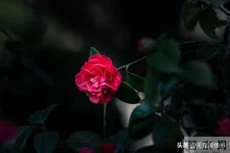 怎样做人,为人处世大全，建议收藏