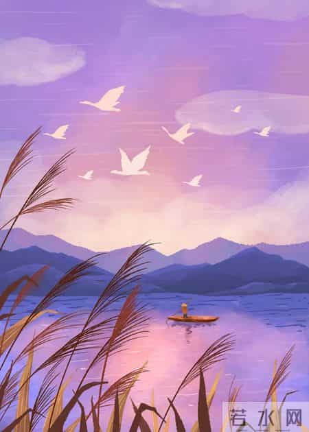 芦花荡读后感,芦花荡读后感200字