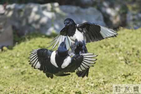 今日情感故事：《暧昧一旦开始，余生都躲不开那个人》