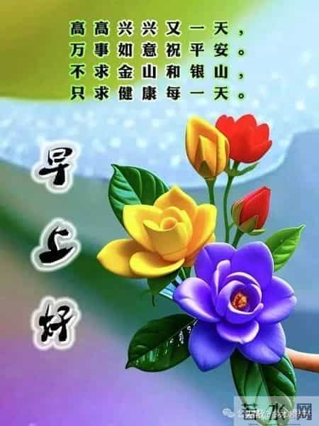清晨吉祥话祝福语！清晨安康吉祥的早安问候顺心如意瞬间暖到心窝