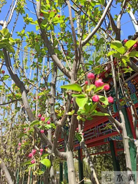 北京导游词,云游中国 - 北京地坛公园