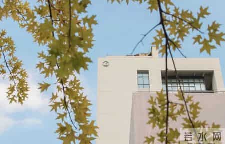 校园风景线,校园风景线广播稿