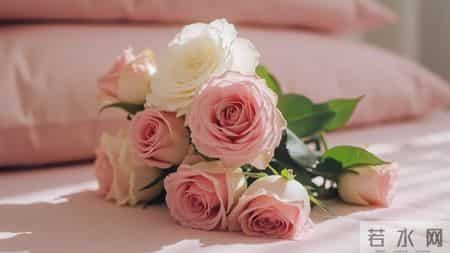 有爱就有家,有爱就有家张佳宁王阳