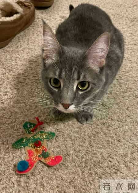 圣诞故事,寒冷的冬天，还好有这一波跟圣诞有关的治愈小故事