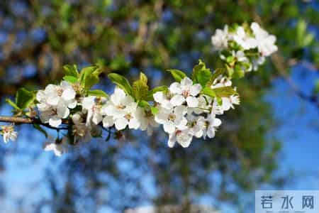 忆秦娥刘克庄,十首忆秦娥巅峰之作，道尽人间千年愁