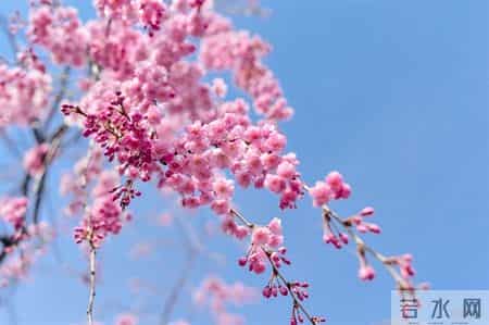 美句美段摘抄大全,美句,美段