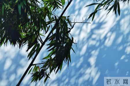 经典常谈读书笔记每一篇,经典常谈阅读札记