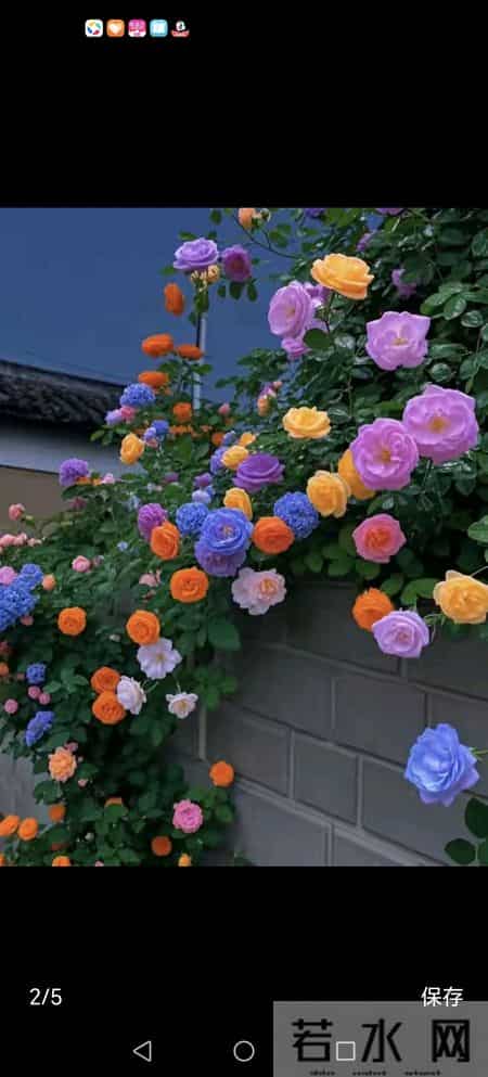 美好的回忆500字