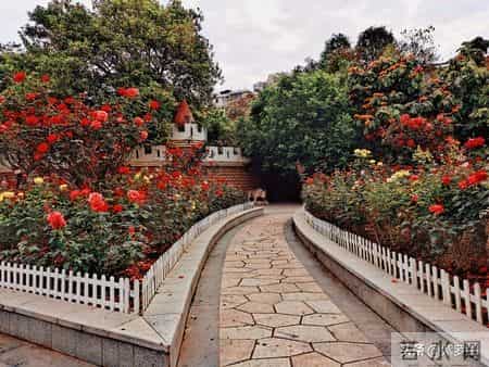 成长的滋味,爱情的百味人生：甜蜜、痛苦，都是成长的滋味