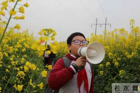 春天的课堂,赏春. 品春. 惜春 ——走进“春天的课堂”
